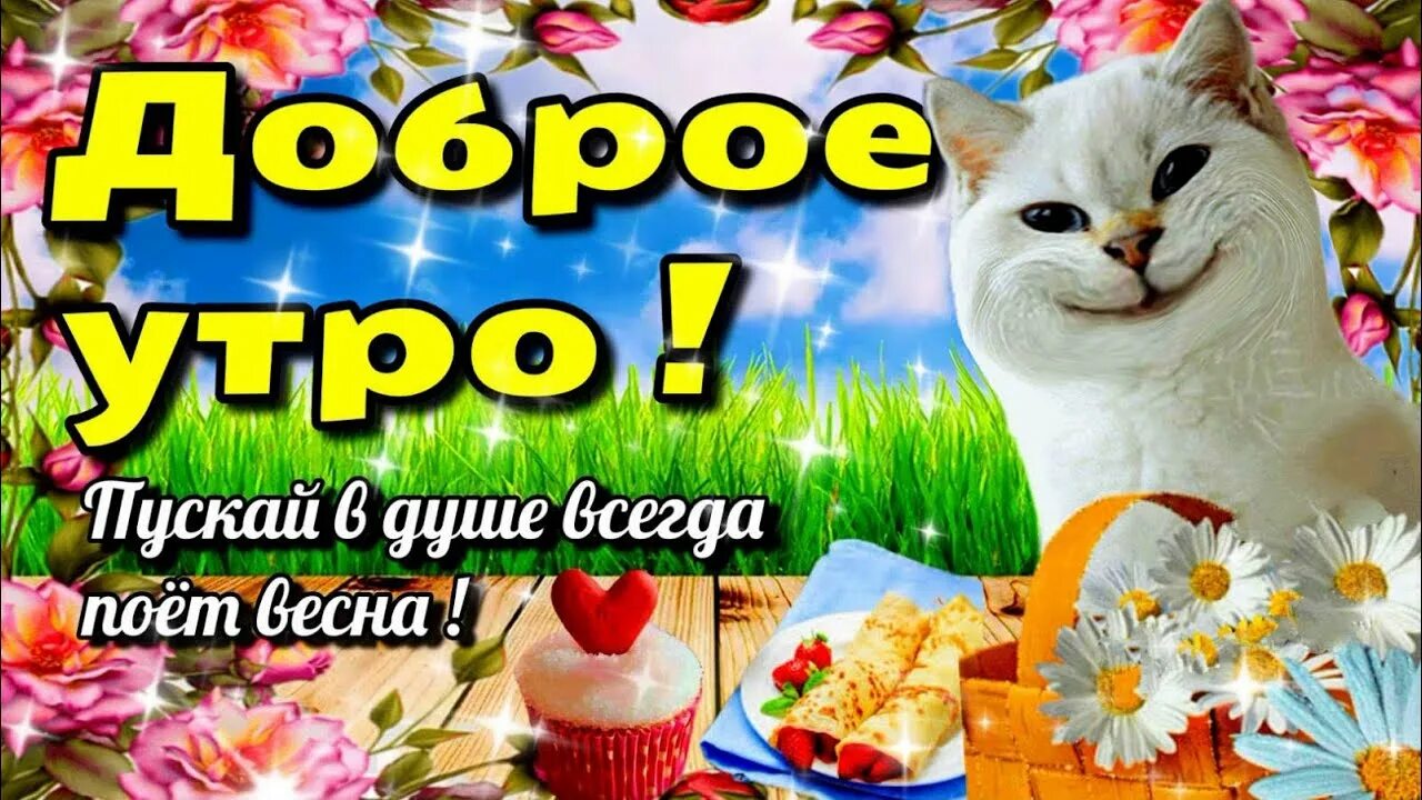 Весеннее доброе утро на вацап. Пожелания с добрым утром с цветами и красивыми словами. доброго мартовского утра и прекрасного дня. с добрым мартовским утром и хорошим днём красивые. доброе утро прекрасного дня хорошего настроения оптимизма.