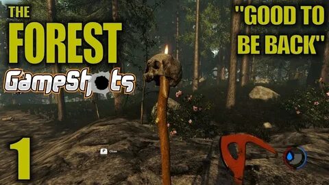 The forest для чего нужны