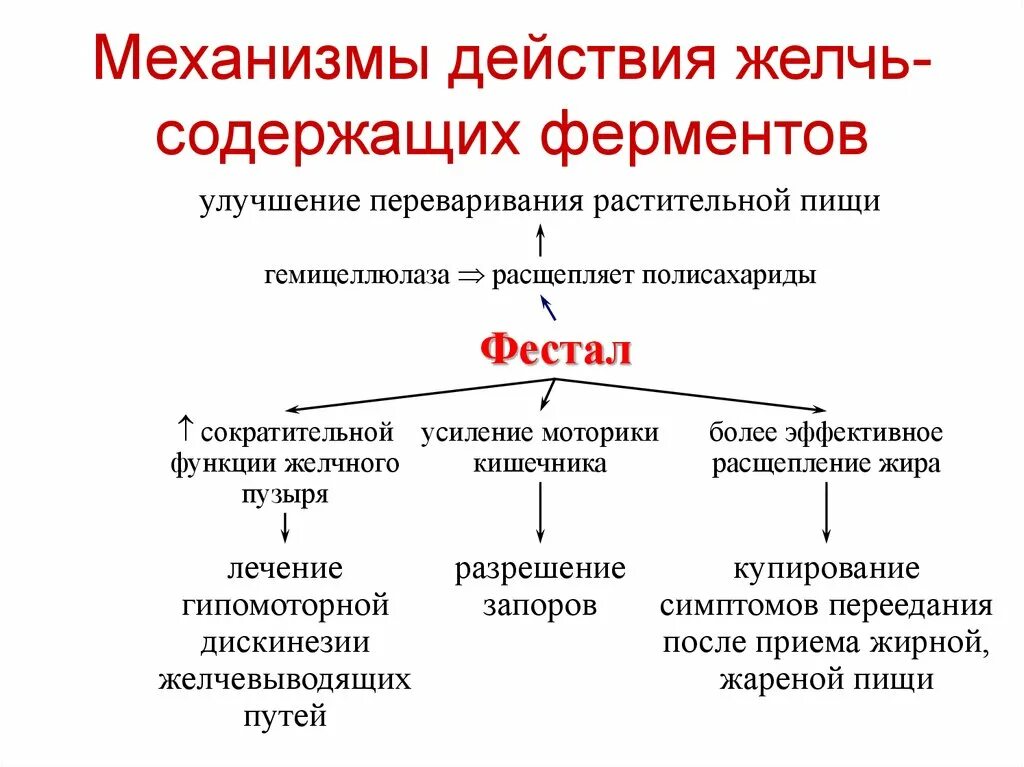 Ферменты с желчью таблетки. Содержит ли желчь ферменты. Механизм действия желчных кислот. Ферменты с желчными кислотами. Фестал механизм действия.