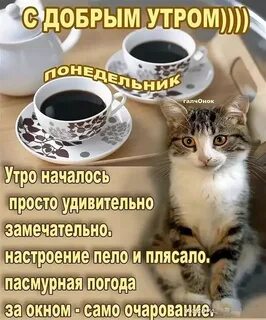 Доброе утро с надписями дней недели