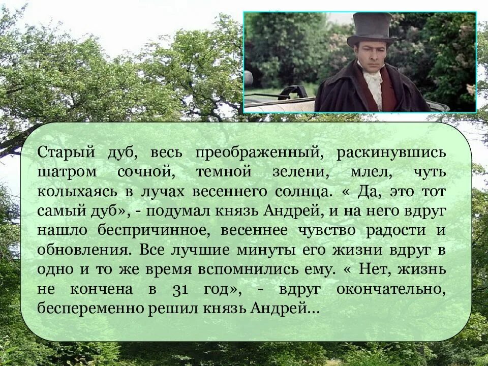 Поездка князя андрея в отрадное. Старый дуб весь преображенный раскинувшись шатром сочной темной. Старый дуб весь преображенный. Описание старого дуба.