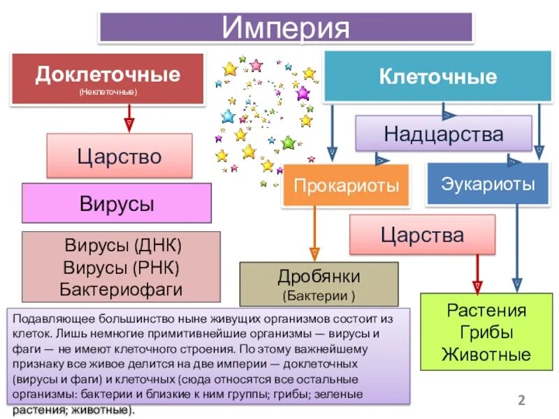 Надцарство прокариоты. Прокариоты эукариоты вирусы. Империя доклеточные и клеточные. Царство бактерии дробянки. Царство вирусы.