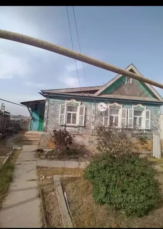 Оранжерейное астраханской