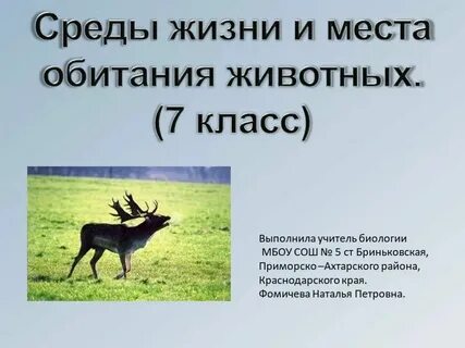Какие животные обитают в естественной среде