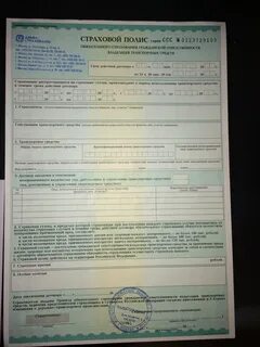 Обязательно ли иметь страховку