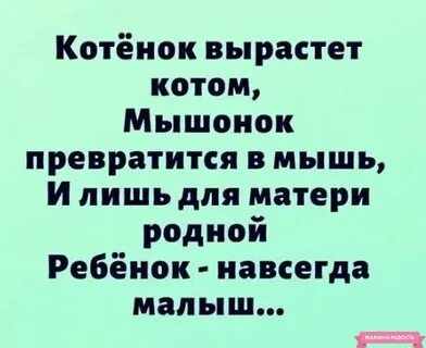Мышь превратилась