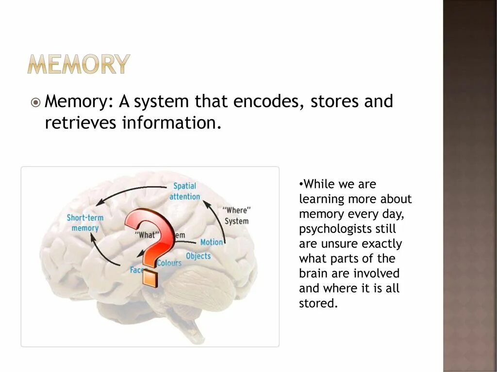 Memory mem. What is memory. about memories. discussions about memory. memory store is.