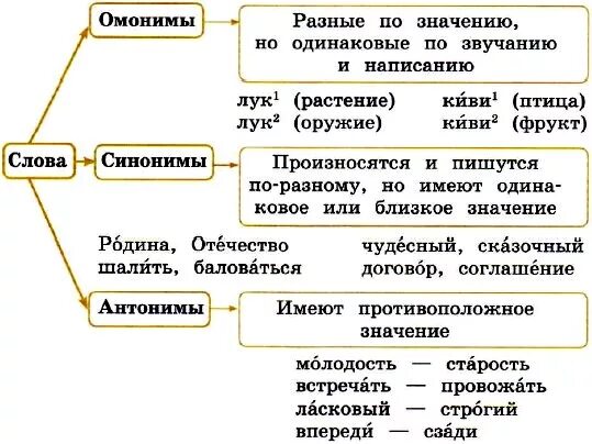 Звучание синоним. Правило синонимы антонимы омонимы 4 класс. Правила по русскому языку синонимы антонимы омонимы. Памятка синонимы антонимы омонимы 2 класс. Русский язык 5 класс омонимы синонимы антонимы.