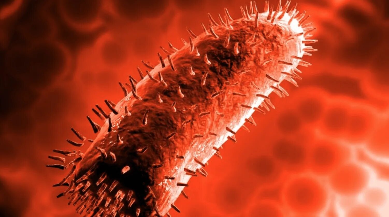 Сама вирус. Вирус бешенства rabies virus. вирус бешенства под микроскопом.
