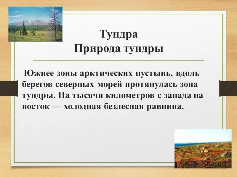 Презентация на тему природные зоны. Сравни природу тундры и природу зоны арктических пустынь. Сходство тундры и арктических пустынь. Сходство природы тундры и арктических пустынь. Различия между степью и тундрой