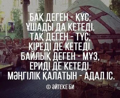 Ең сасық және түкті киска туралы бейне