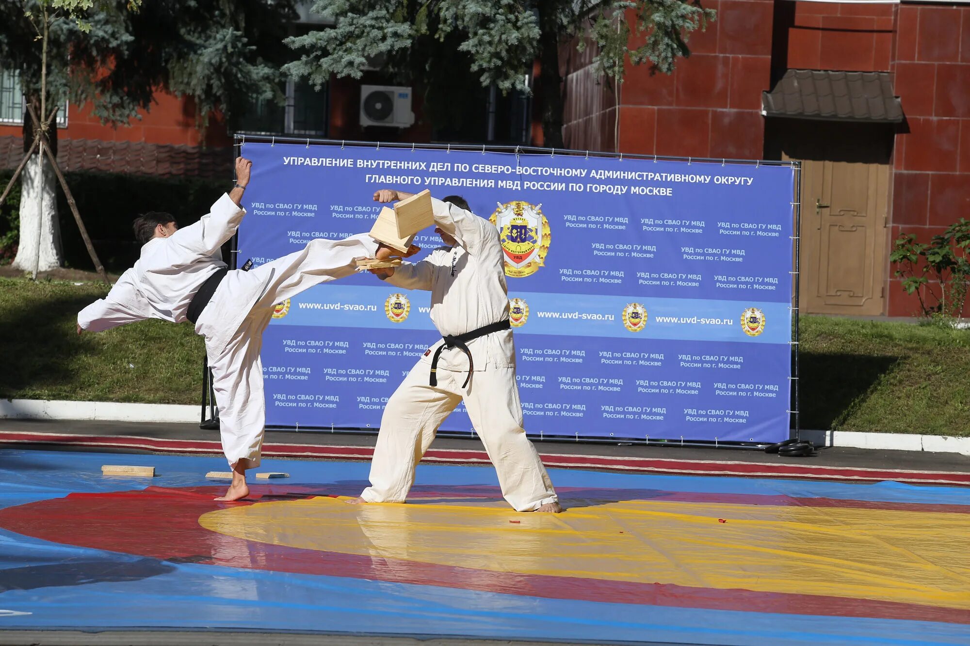Вольная борьба броски. Акжол махмудов борец. Самбо борьба. Борьба картинки. Борьба в зале.
