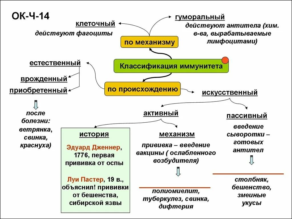 Иммунная биология