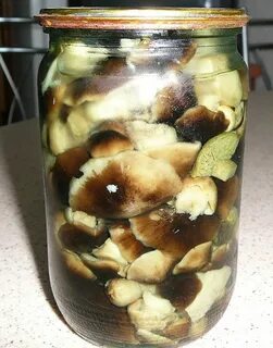 Зеленый маринованный гриб