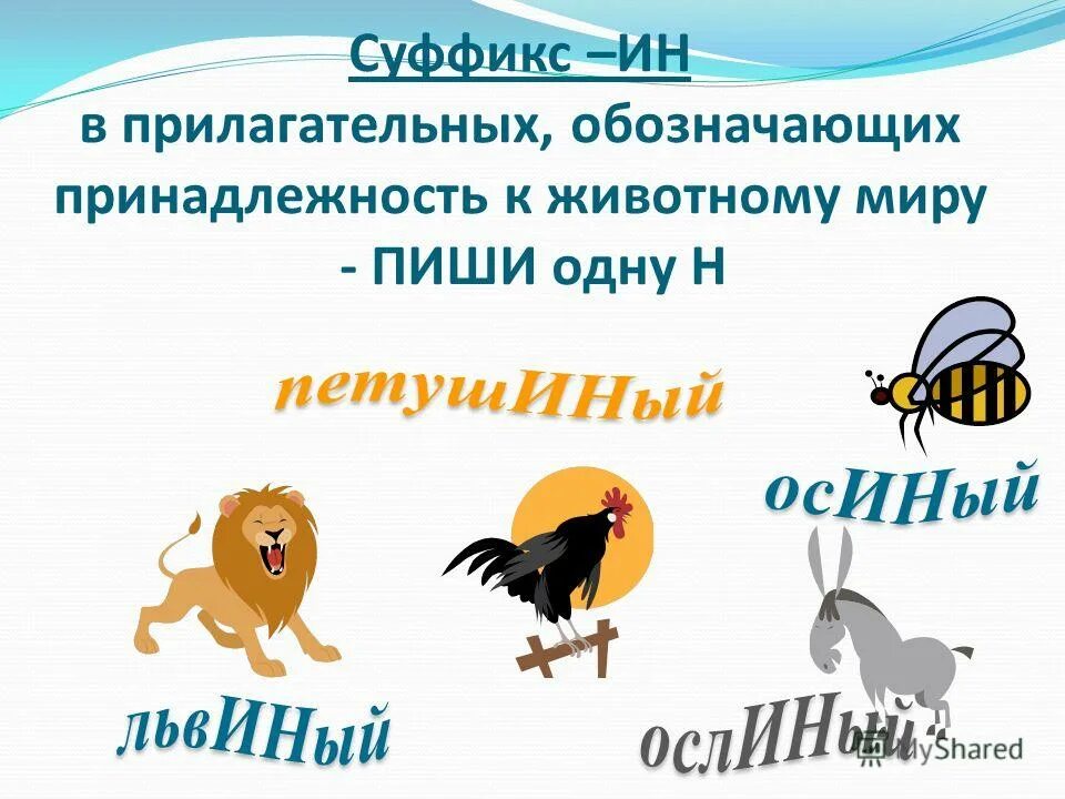 Звери какие прилагательные. Суффикс ин. Прилагательные с суффиксом Ен. Звериный суффикс. Суффикс ин в прилагательных.