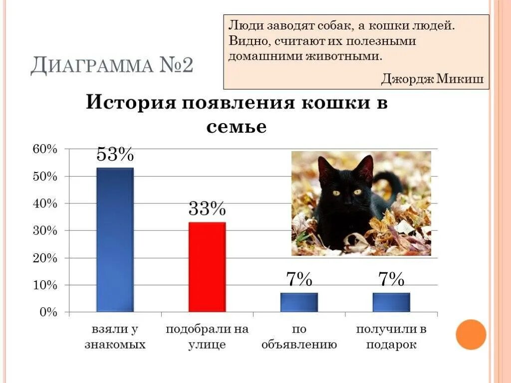 Статистика котов. Статистика домашних животных в России. Статистика по домашним животным. Статистика по домашним животным в России. Самые популярные домашние животные статистика.