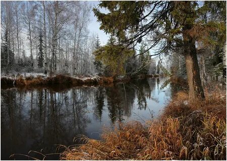 Предзимье картинки