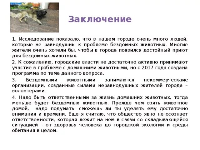 Бездомные животные - Биология - Презентации - 7 класс