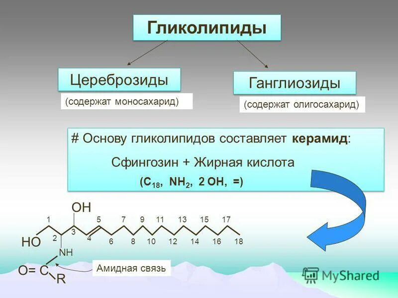 Образование высокомолекулярных соединений