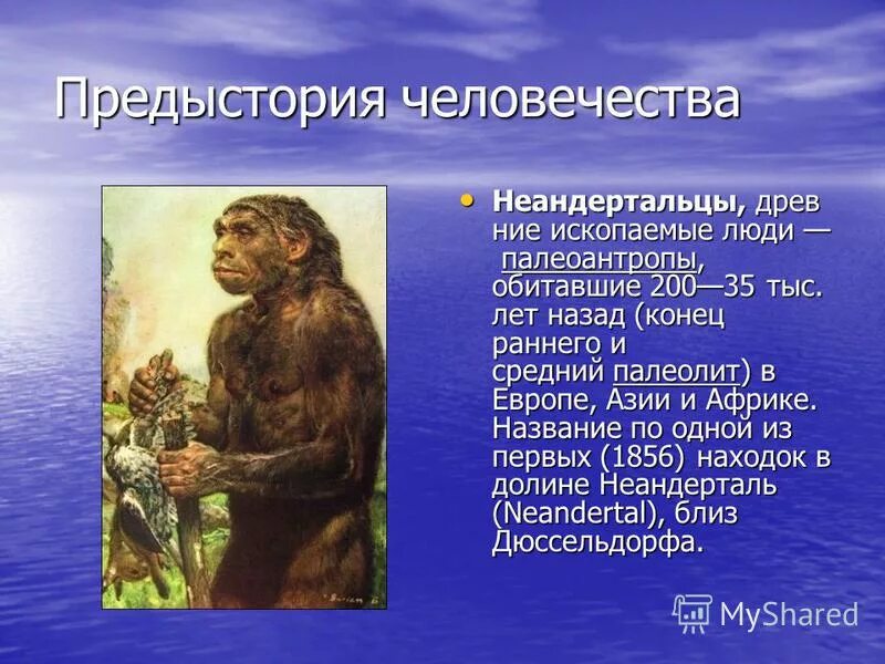 предыстория человека. изобретения шумеров. эпоха праобщины климатические условия. краткая история человечества книга. предыстория книга.