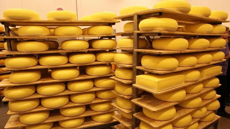Купим производство сыра