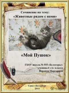 Сочинение про животных 4 класс