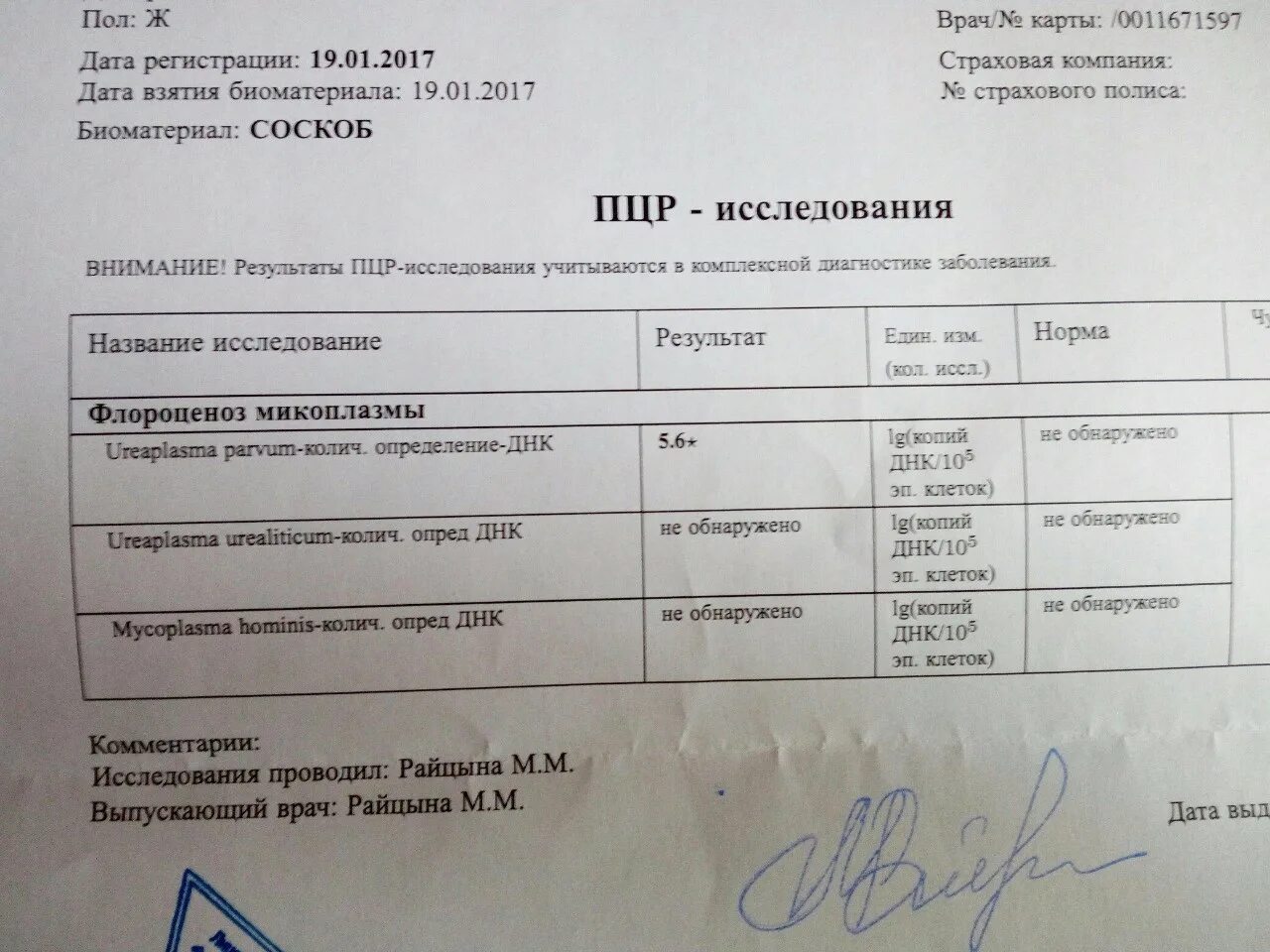 Анализы в течении часа. Анализ на уреаплазму. Результаты анализа уреаплазма. Уреаплазма анализ. Исследование на уреаплазму ПЦР.