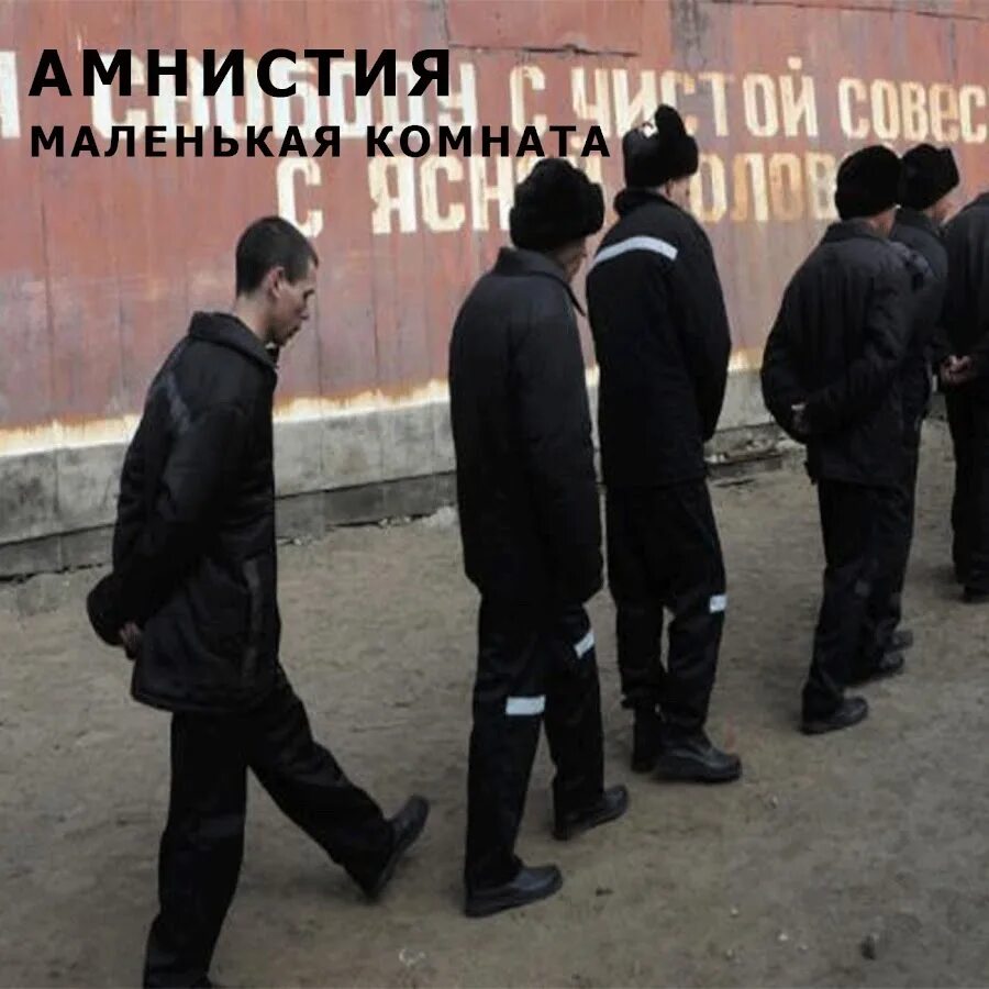 Амнистия утильсбора. Амнистия это. амнистия это 3. амнистия игра. амнистия амнистия дождись меня таисия.