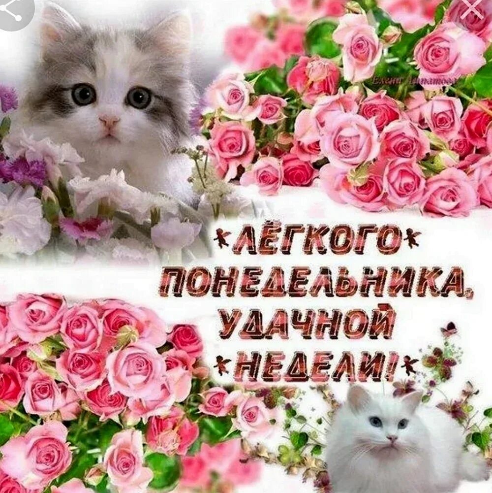 С добрым утром понедельника. Открытки легкого понедельника. Легкого понедельника. Пожелания женщине доброго утра понедельника. Красивые открытки с понедельником.