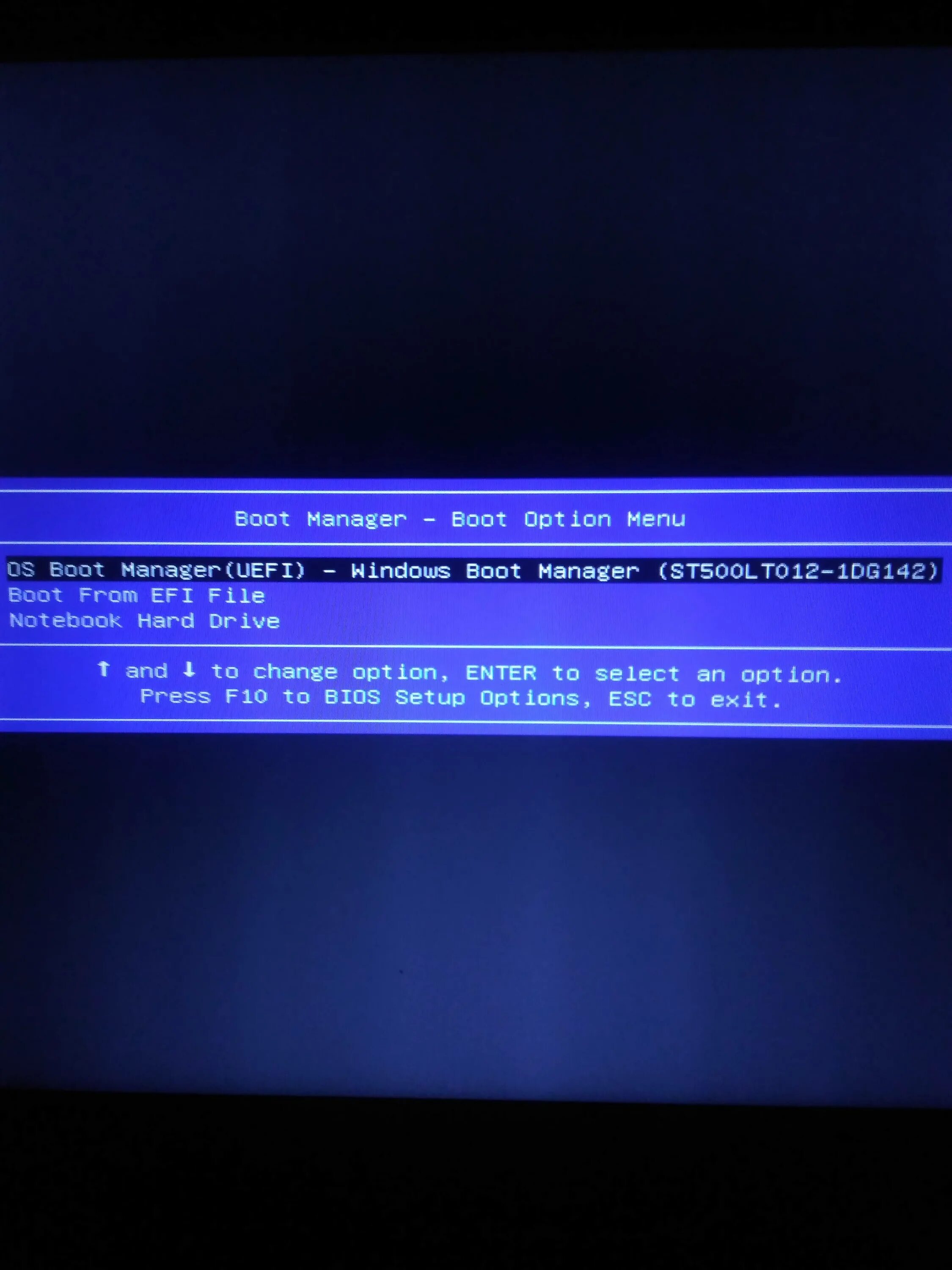 Boot manager биос. Boot Manager. Boot Manager Boot option menu. Boot Manager BIOS. Windows Boot Manager меню загрузки.