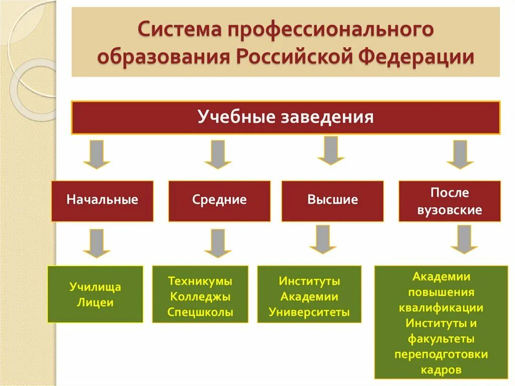 Система профессионального образования. Система профессионального образования в России. Структура профессионального образования. Система профессионального образования схема.