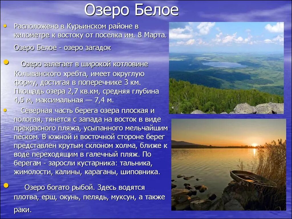 Белое озеро Алтайский край. Реки и озера Алтайского края Алтайского края. Презентация на тему озера. Белое озеро презентация.