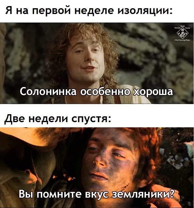 Фродо я не помню ни вкуса еды. Мем фродо я не помню ни вкуса. Помню вкус. Вкус твоих губ манга. Я не помню ни вкуса еды ни журчания воды.