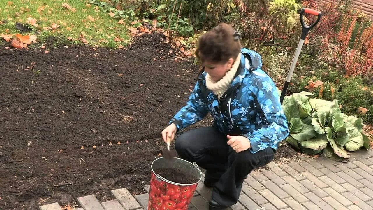 Посадка моркови под зиму в ноябре. Осенние посадки в огороде лук. посадки на зиму в огород. что посеять осенью. урожайный огород посадка.
