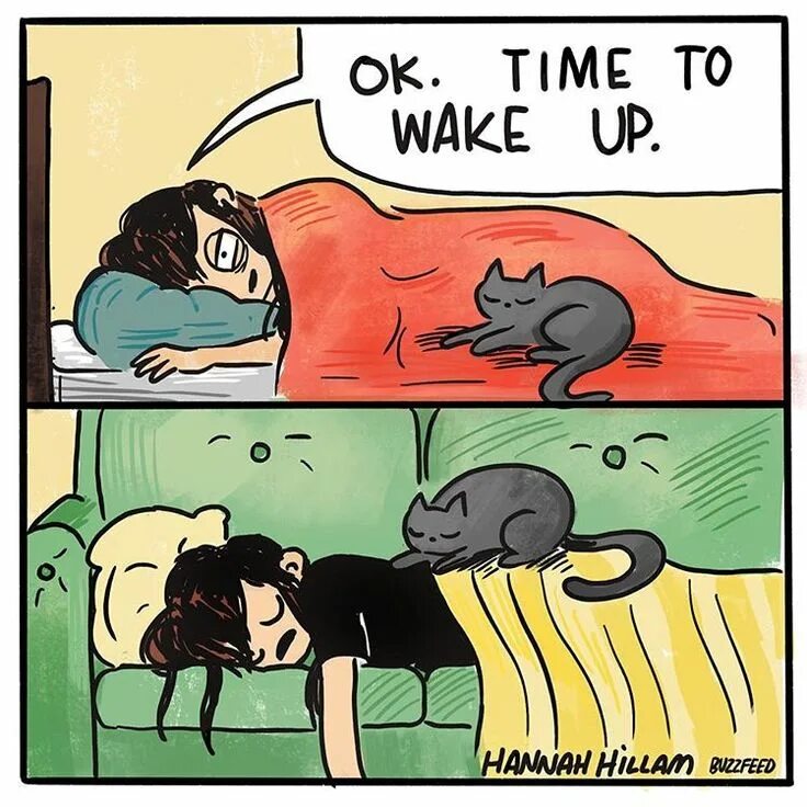 Go wake up. Hannah hillam комиксы. time to wake up. hannah hillam memes. wake up комикс.