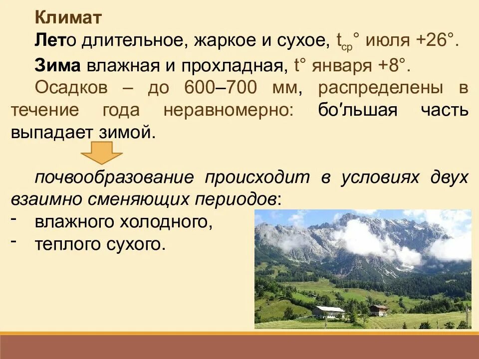 Теплое продолжительное лето и мягкая зима. Жаркий сухой климат. Почвы влажных субтропиков желтозем. Сухой и теплый климат Тип климата. Почвы субтропического пояса.