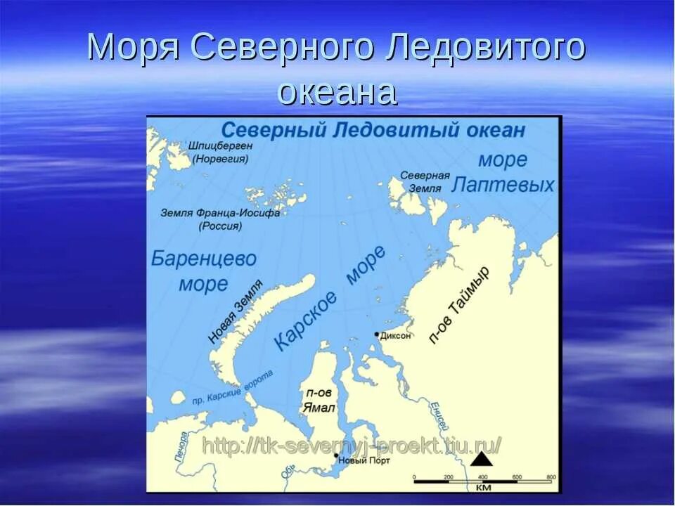Какой океан омывает берега россии на севере