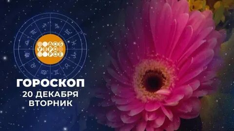 Доброе утро гороскоп на 22 ноября