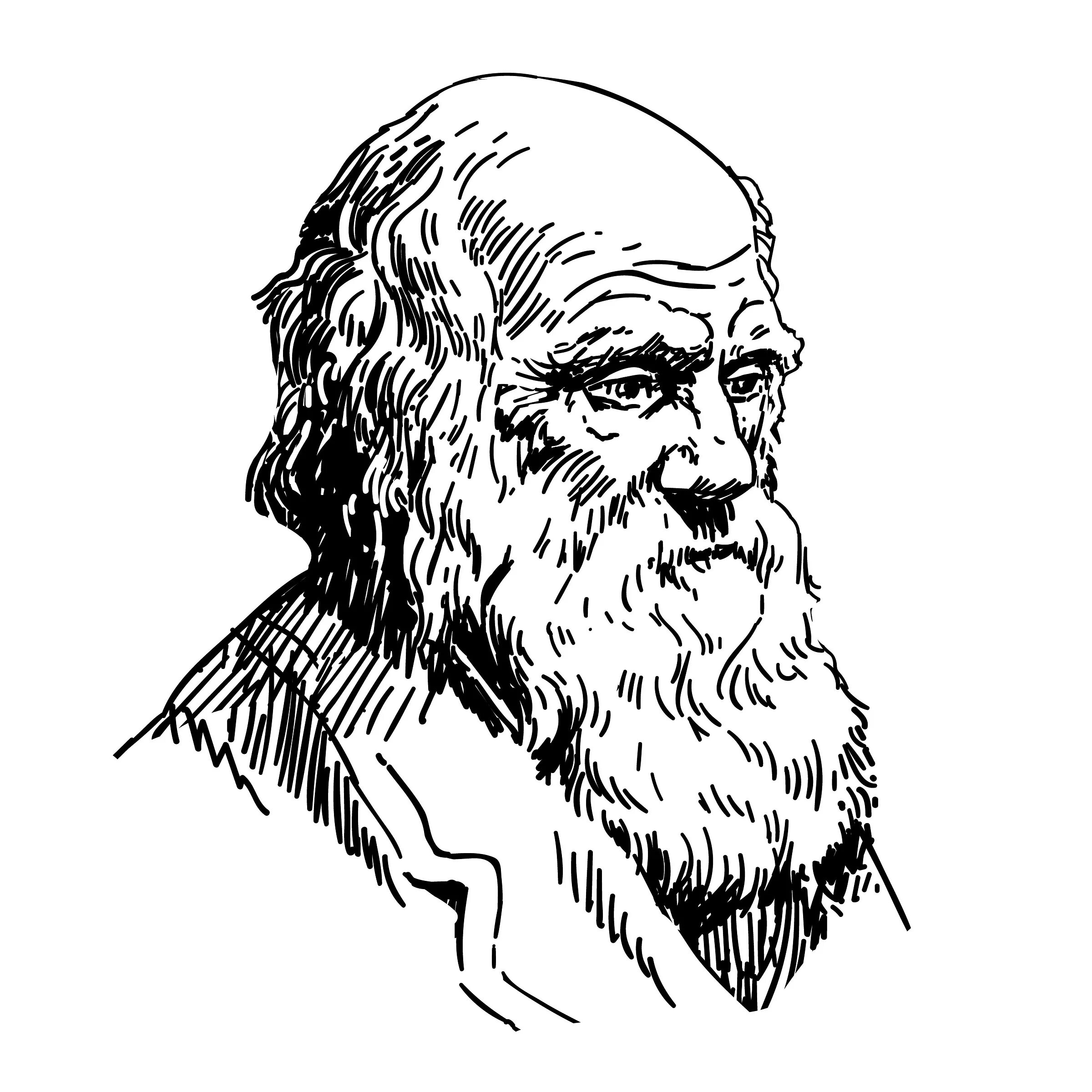 Дарвин рисунок. Дарвин рисунок. Дарвин рисунок. Charles darwin фон. Дарвин рисунок.