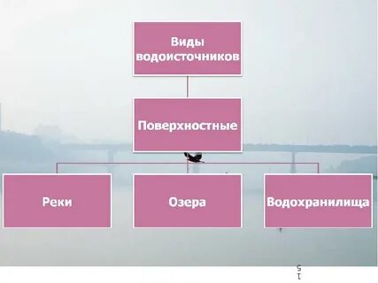 Форум поверхностные