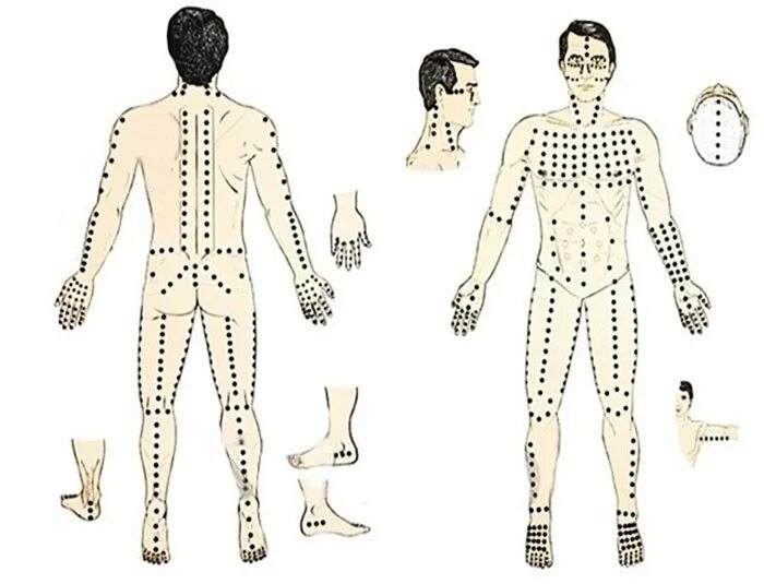 Точечный массаж спины. Шиацу точечный массаж точки. Акупрессура точки на теле человека. Сосудистый этап в мезотерапии схема. Шиацу точки схемы.