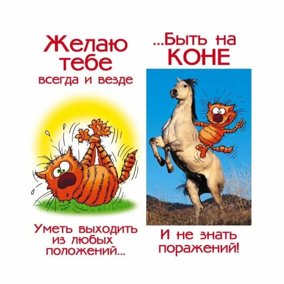 Главное быть на коне. Желаю тебе быть всегда на коне. поздравления с днём рождения валере. желаю тебе всегда и везде быть на коне. пожелание будь всегда на коне.