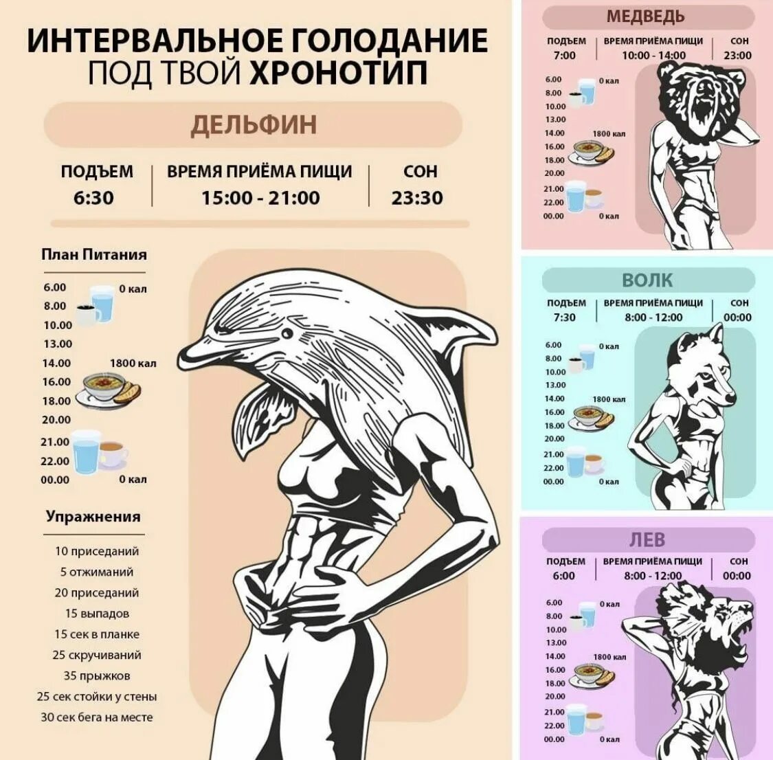 Интервальное голодание по хронотипу медведь. План питания на интервальном голодании. Интервальное голодание хронотип. Интервальное голодание схемы. Голод правила