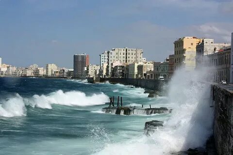 Cuba новосибирск