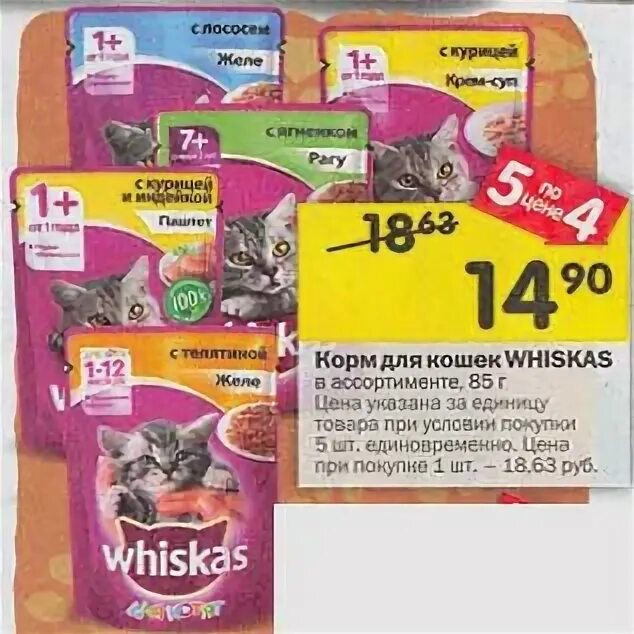 акция корм для кошек. скидки на кошачий корм в ленте. корм для кошек вискас в пятерочке. акции в ленте кошачий корм. корм для кошек акции в магазинах.