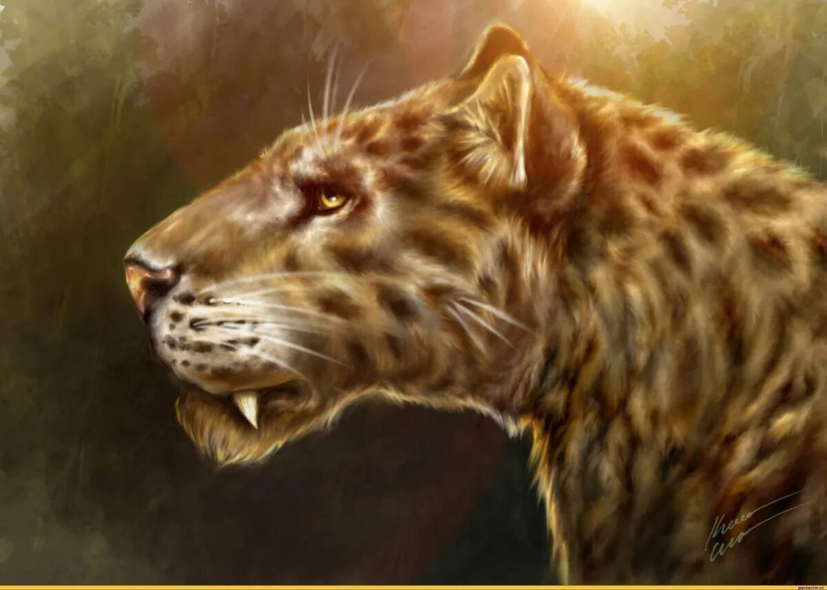 Smilodon. Cмилодон (Саблезубый тигр). Саблезубый тигр Махайрод. Смилодон арт Саблезубый тигр. Саблезубые тигры Смилодоны.