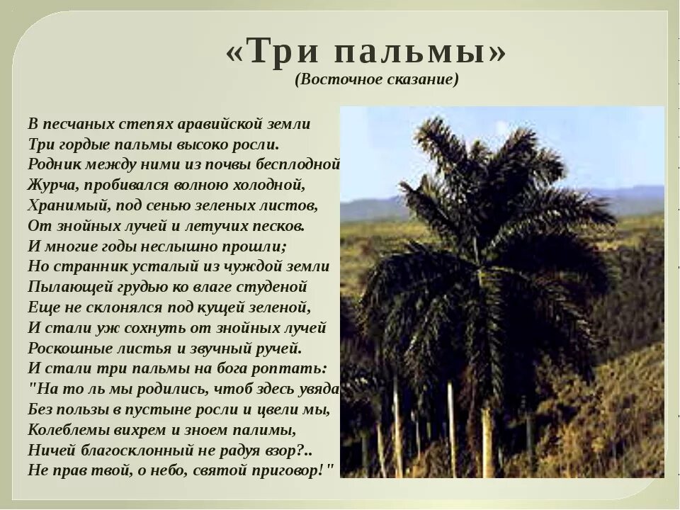 Три пальмы найти метафоры. Михаил юрьевич лермонтов три пальмы. стих лермонтова три пальмы. стих 3 пальмы лермонтов. стихотворение три пальмы лермонтов.