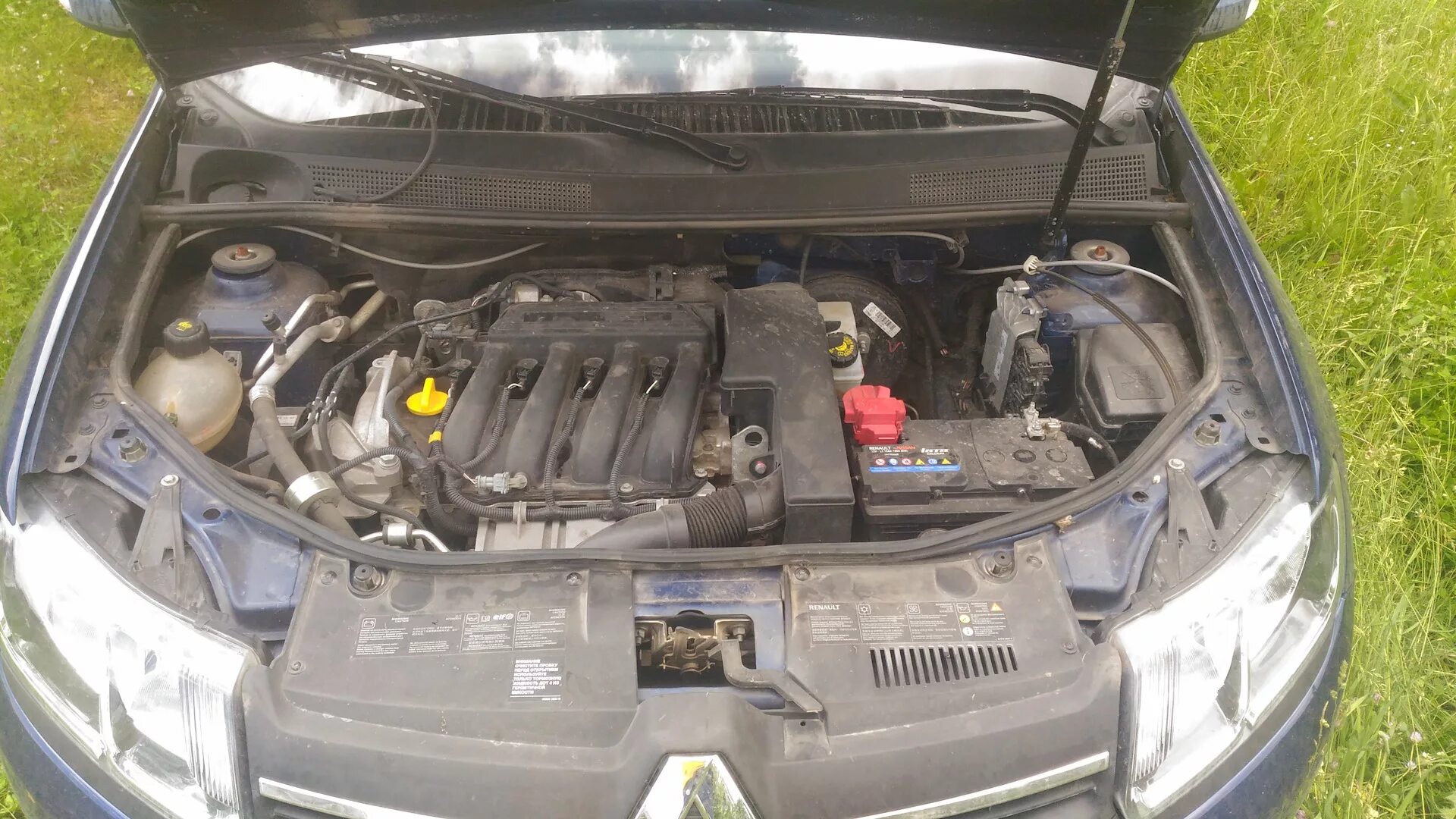 моторный отсек мойка. - Renault Logan (1G), 1,6 л, 2010 года мойка DRIVE2