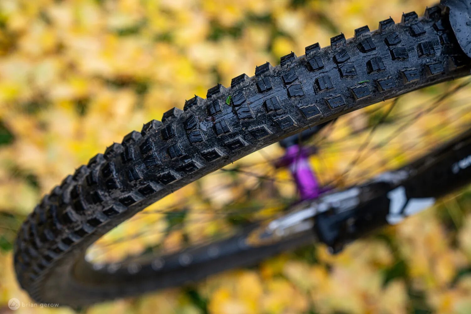 Mtb шины. Покрышки specialized mtb. specialized покрышка мтб. specialized butcher. specialized butcher sx 26х2.3 weigth.