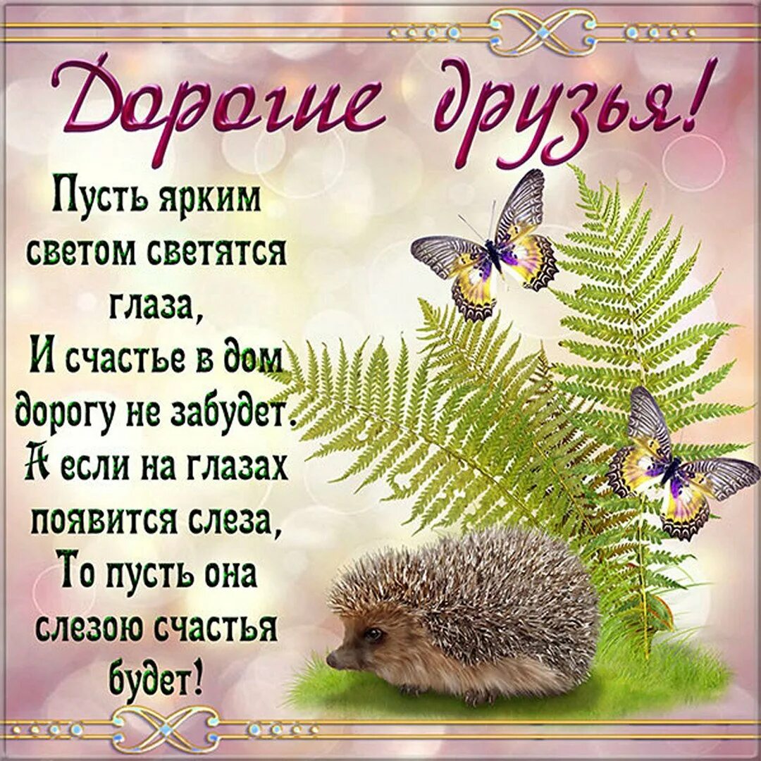 Доброго дня родным и друзьям. Поздравление другу. пожелания друзьям. красивые открытки для друзей. открытка &quot;другу!&quot;.
